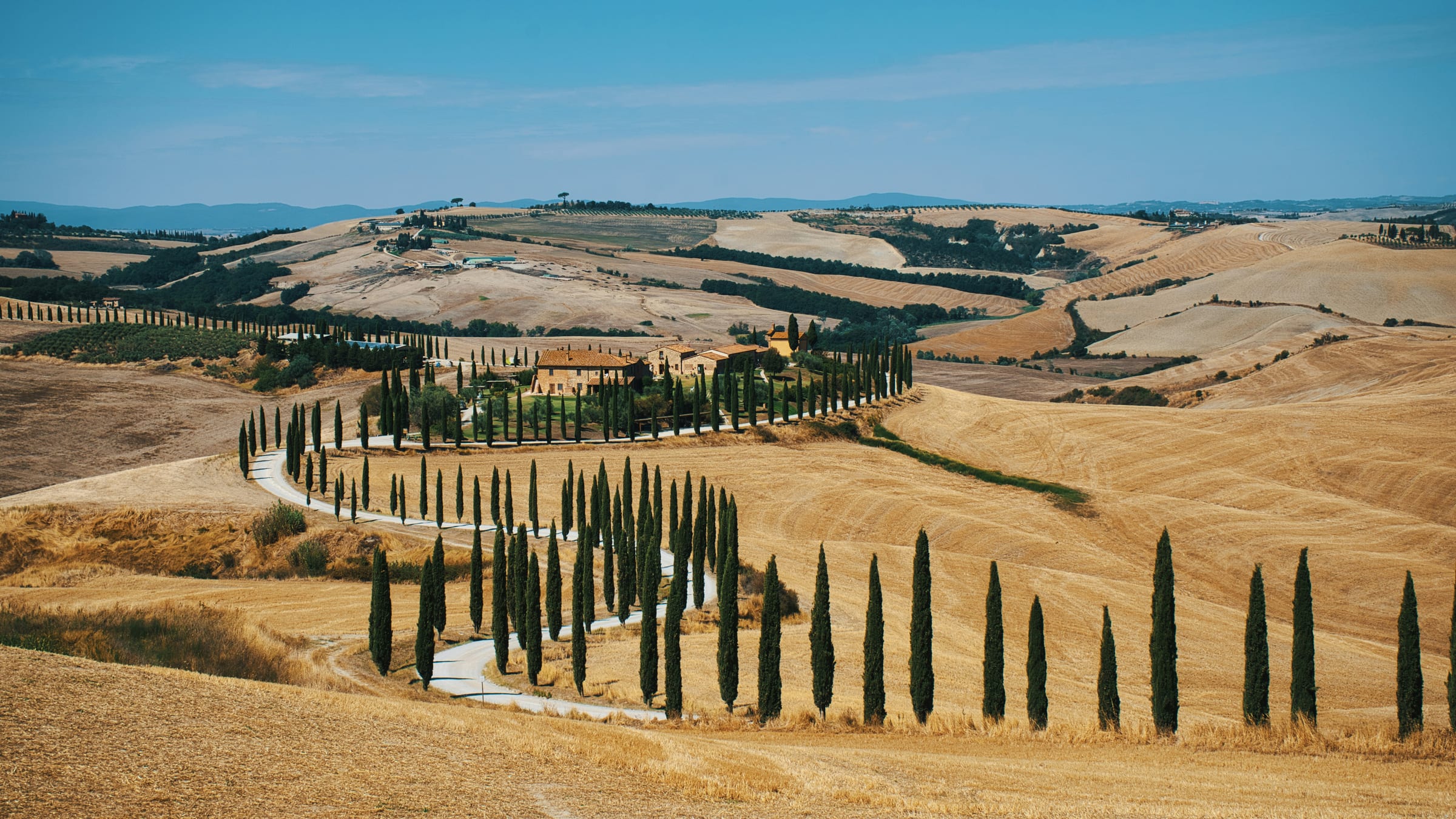 Cypress avenue, Val d'Orcia